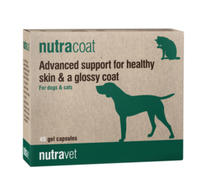 nutracoat supplement for dogs and cats