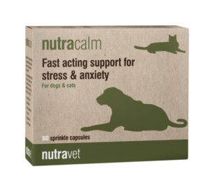 nutracalm supplement for dogs, cats and horses