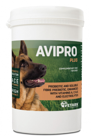 tub of avipro plus prebiotic for dogs