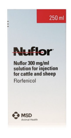 bottle of nuflor antibiotic injection for cattle and sheep