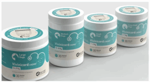 Vivinicord Dental Chews