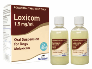 Loxicom Oral Suspension for Dogs - Dual Pack