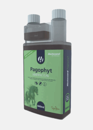 bottle of pagophyt devil's claw containing supplement for horses