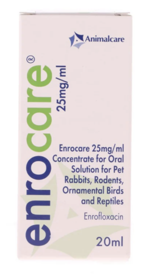 Enrocare 25mg/ml Concentrate for Oral Solution