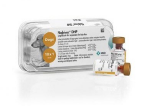 Nobivac DHP Vaccine for Dogs