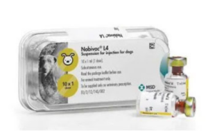 Nobivac Lepto 4 Vaccine for Dogs