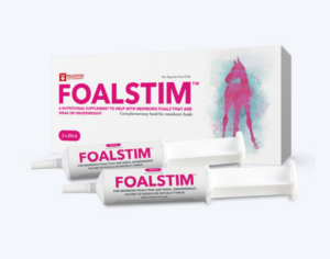 Foal Stim