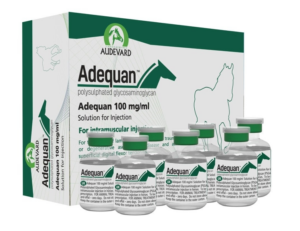 Adequan 100mg/ml Solution for Injection for Horses - 5ml X 7 vials